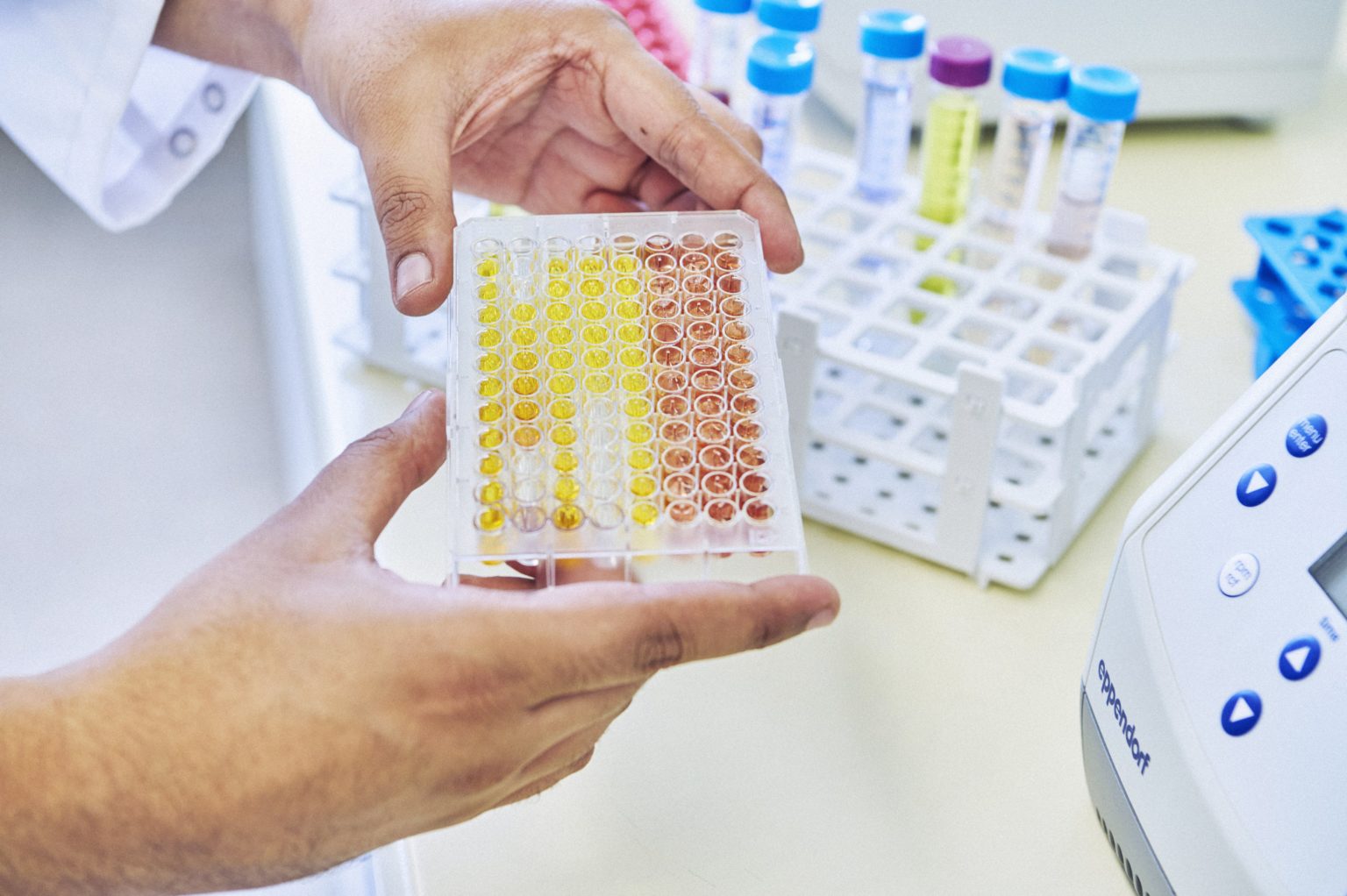 CSM Ingrédients investit dans la technologie enzymatique Boulangerie