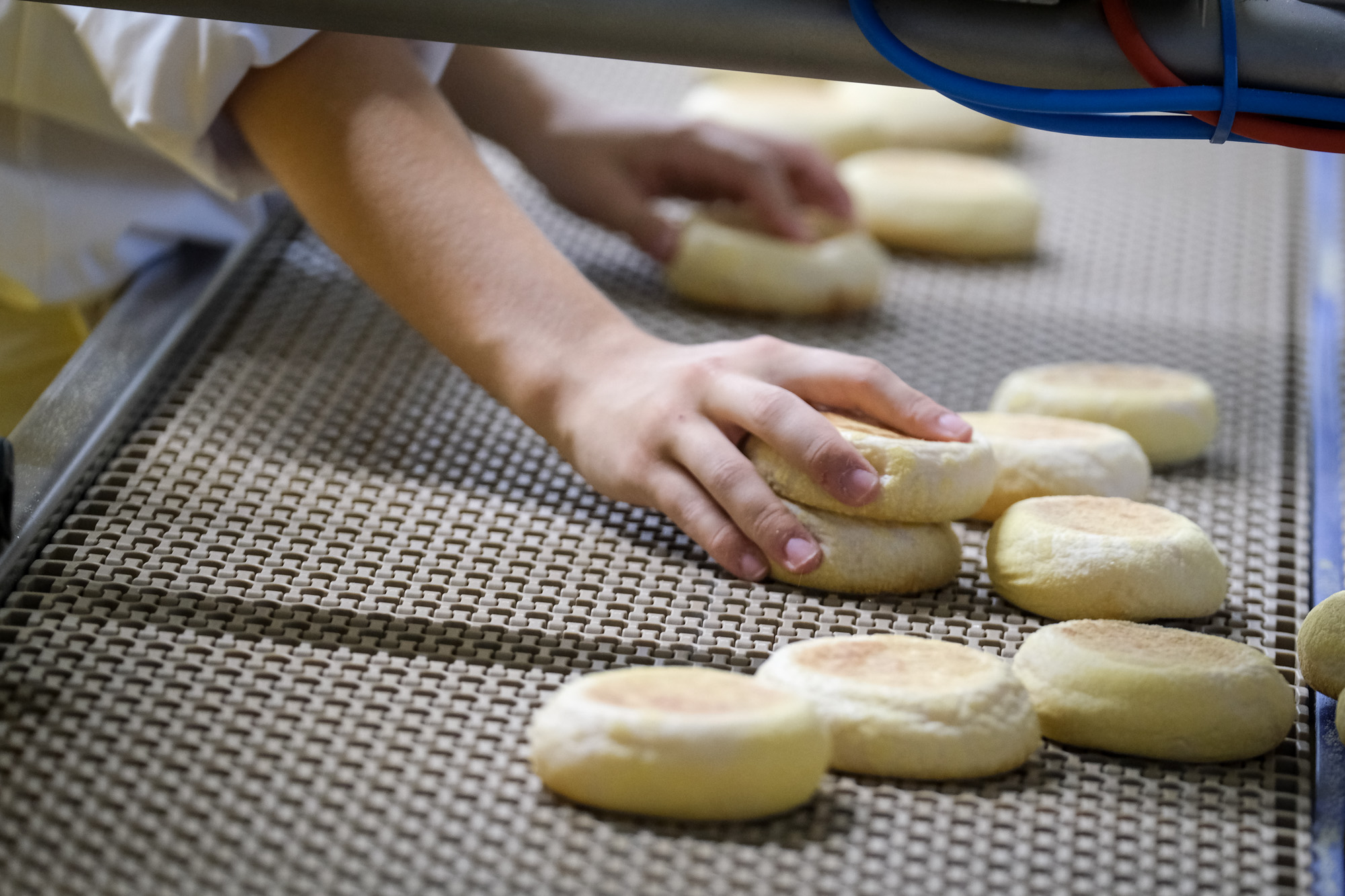 La règle à toutes épreuves — GéoChef - Marketing, Communication &  Accessoire pâtisserie